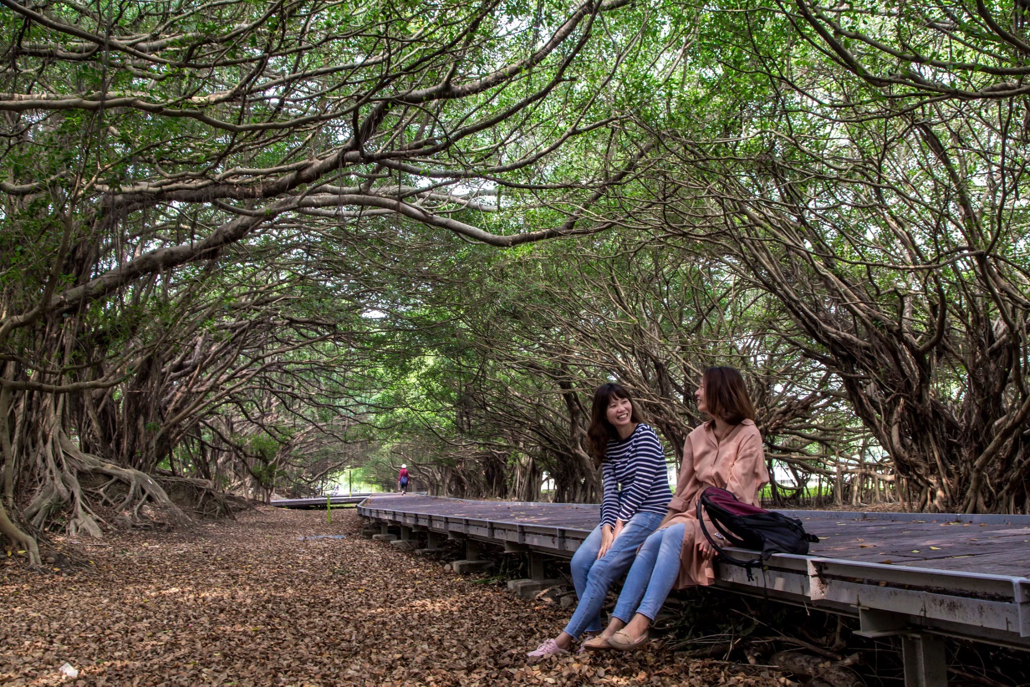 新營長勝營區12月12日至13日首度舉辦「2020親新好時節」