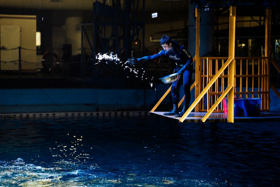 屏東海生館教師節連假必訪魚你同行後場大揭密！ 日潮探秘與萬聖節主題活動10月接力登場