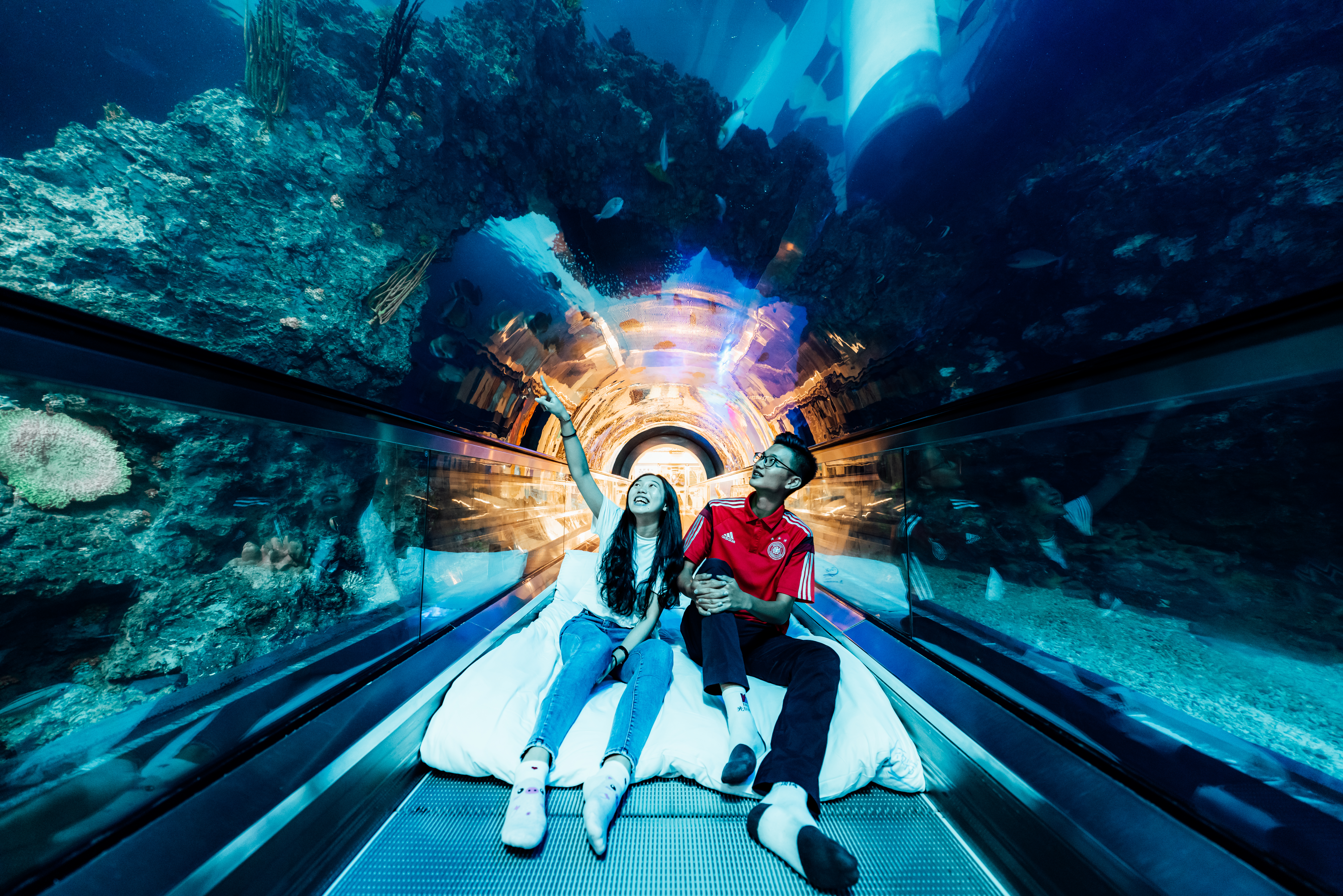 2023年屏東海生館第一對新人誕生！在魚群的見證下YES,IDO！