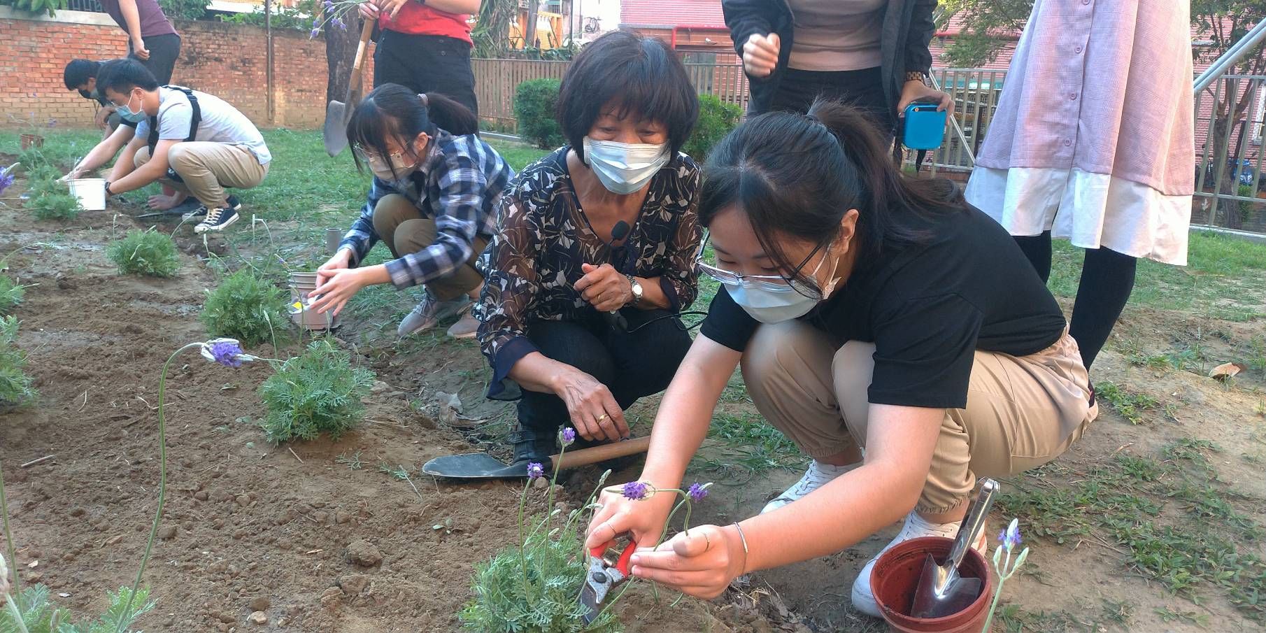南臺科技大學善用校內綠地空間開墾「元氣心田大農場」 規劃校園心理健康促進活動之園藝治療