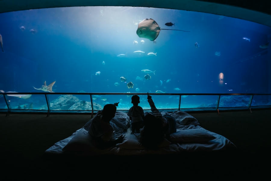 「回憶殺」大爆發！暑假最後一週快來屏東海生館掀起全民回憶潮