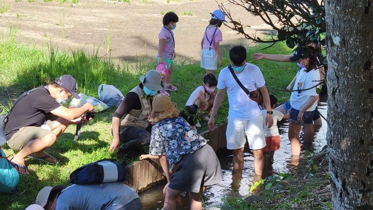 隨著金黃稻浪搖擺超療癒 夜宿海生館「踏水巡田」感受南國靜謐風光