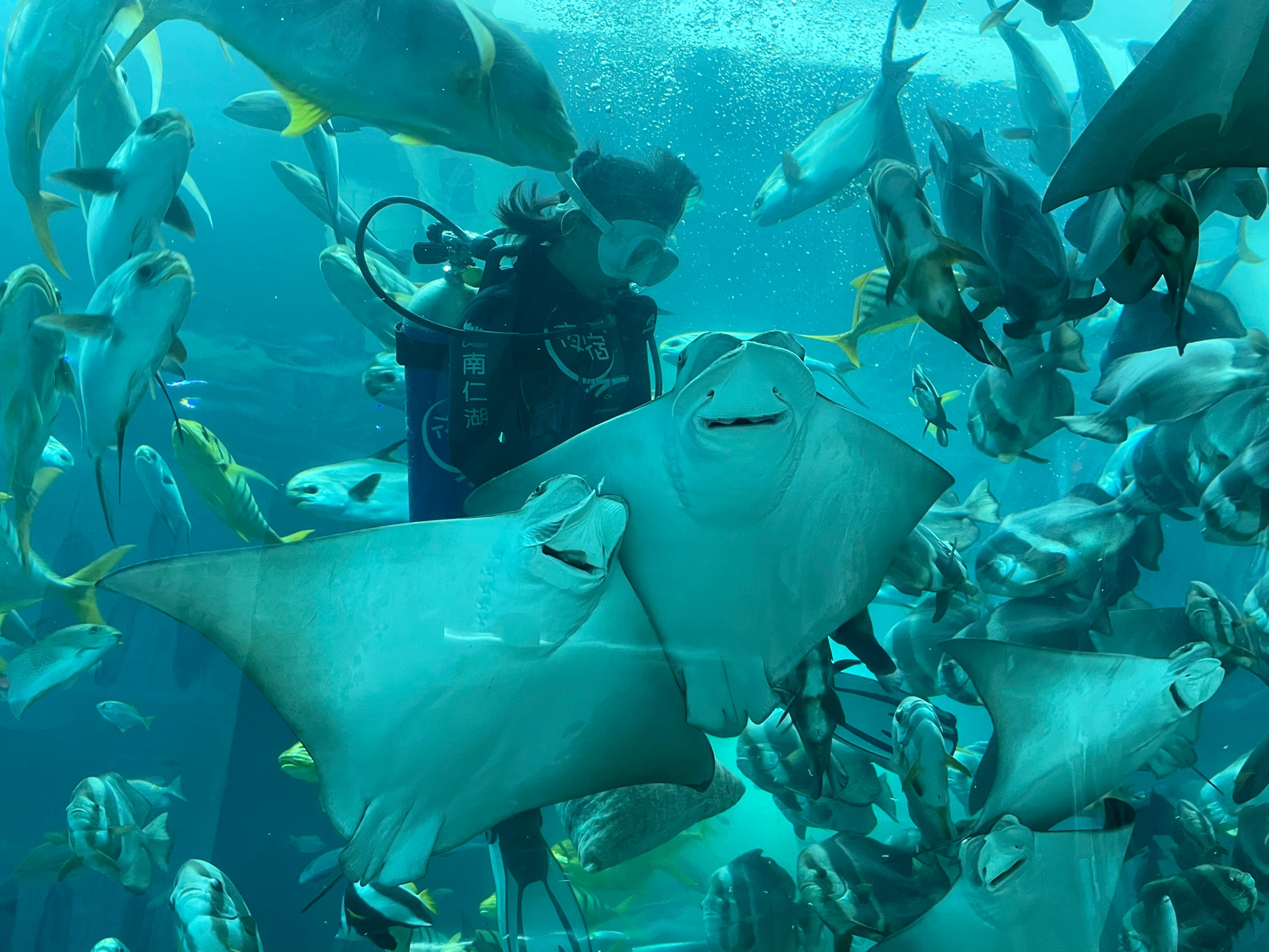 屏東海生館飼育工作大揭密 海洋女力站出來！