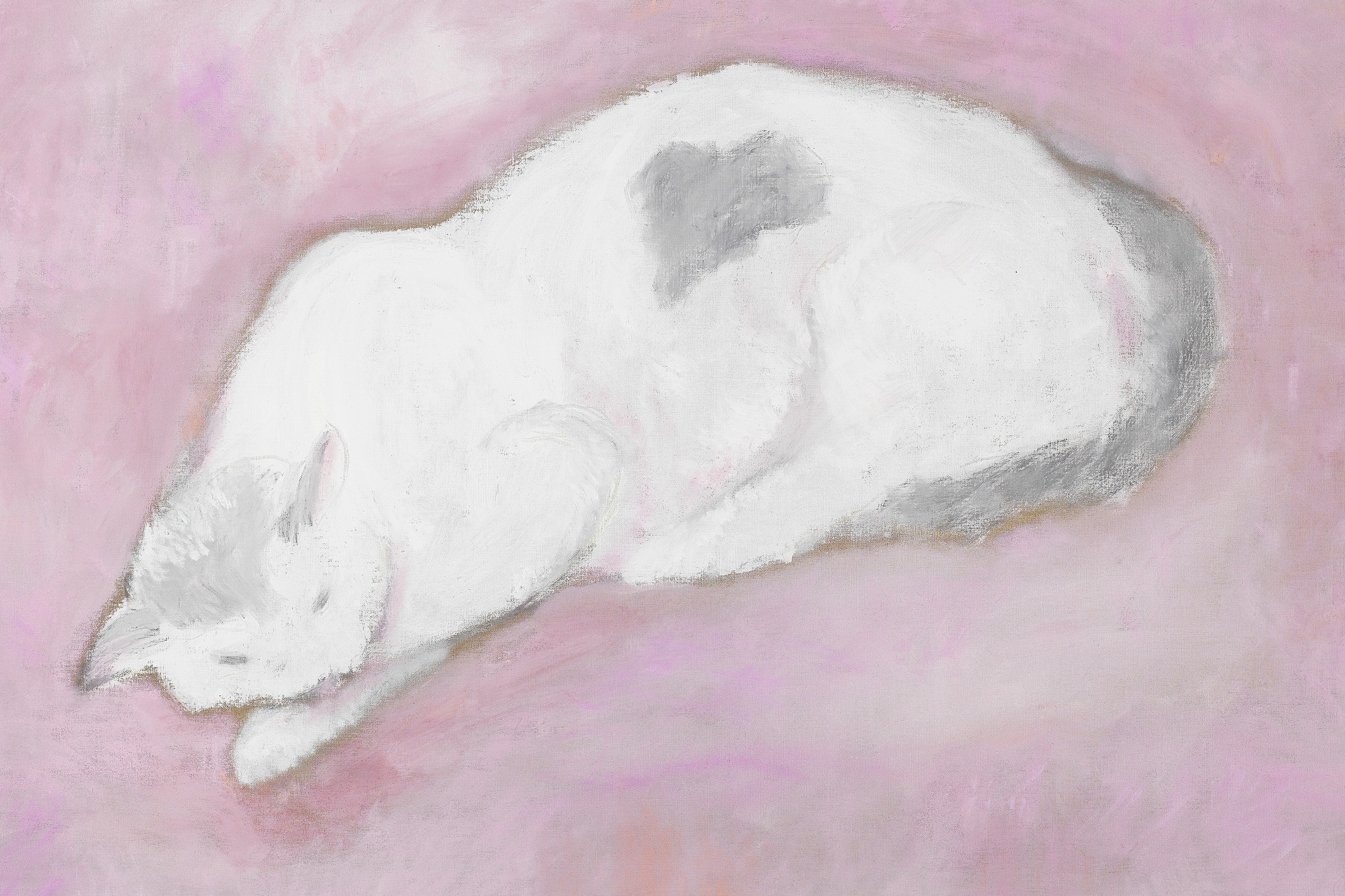 蔣勳「龍仔尾-貓」臺南登場