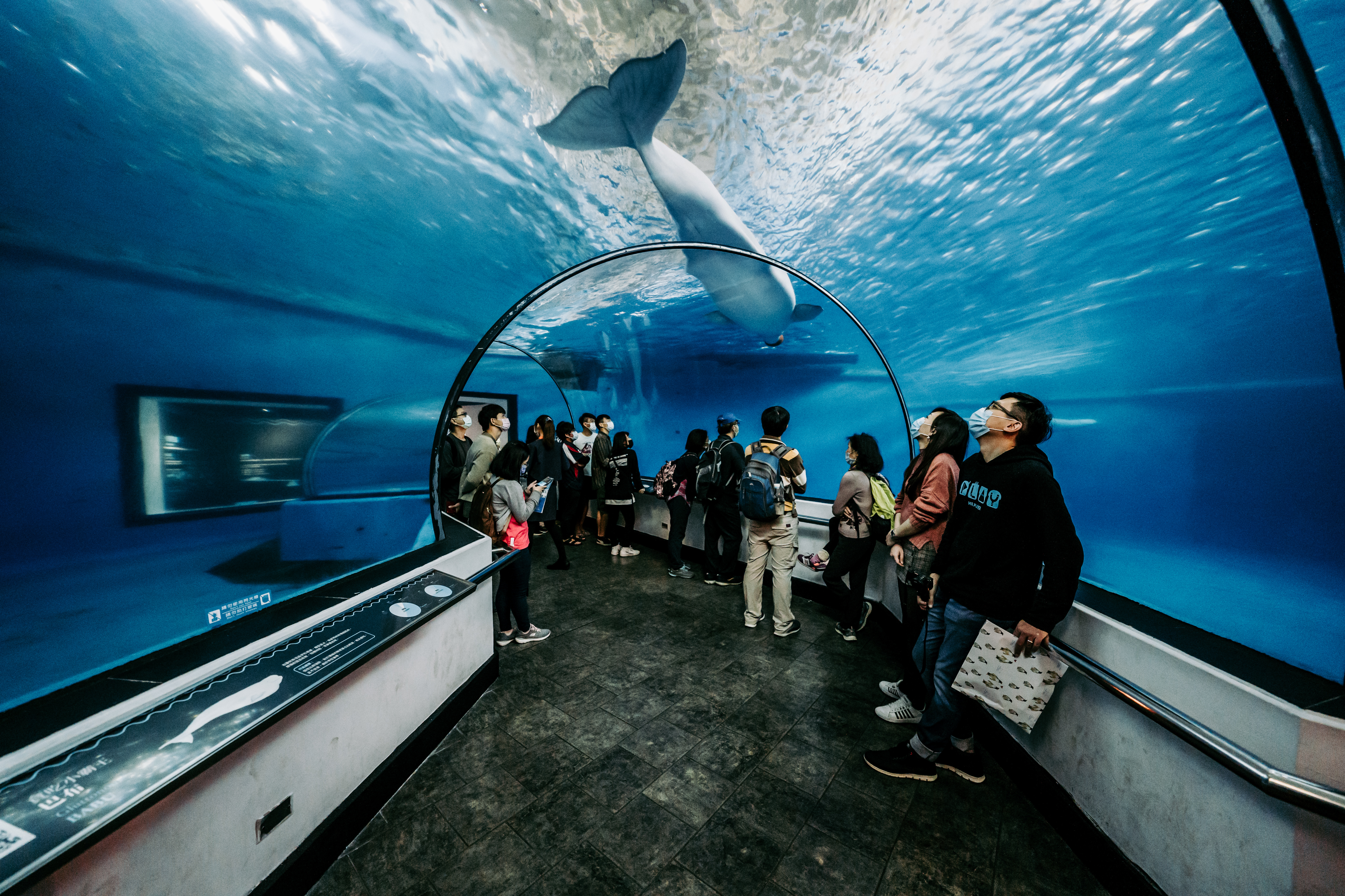 向溼冷天氣說bye-bye，228連假快閃屏東海生舘，感受國境之南的熱情